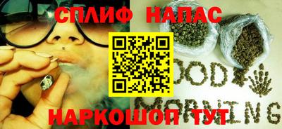 сатива Малгобек
