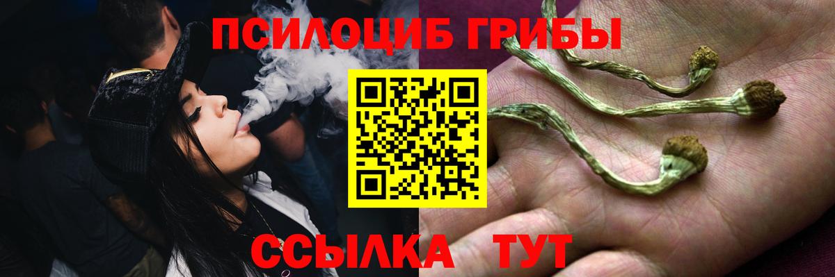 Ейск  Галлюциногенные грибы Cubensis  Галлюциногенные грибы прущие грибы  Вход с VPN 